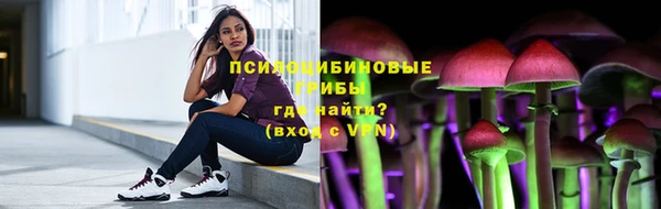 герыч Мегион
