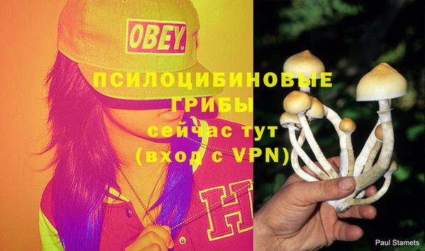 герыч Мегион