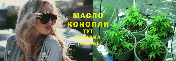 герыч Мегион