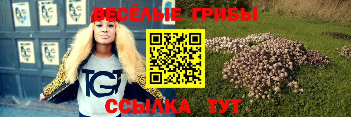 Псилоцибиновые грибы MAGIC MUSHROOMS Пермь